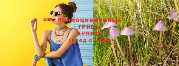 экстази Богородск
